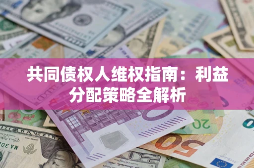 北京共同债权人维权指南：利益分配策略全解析